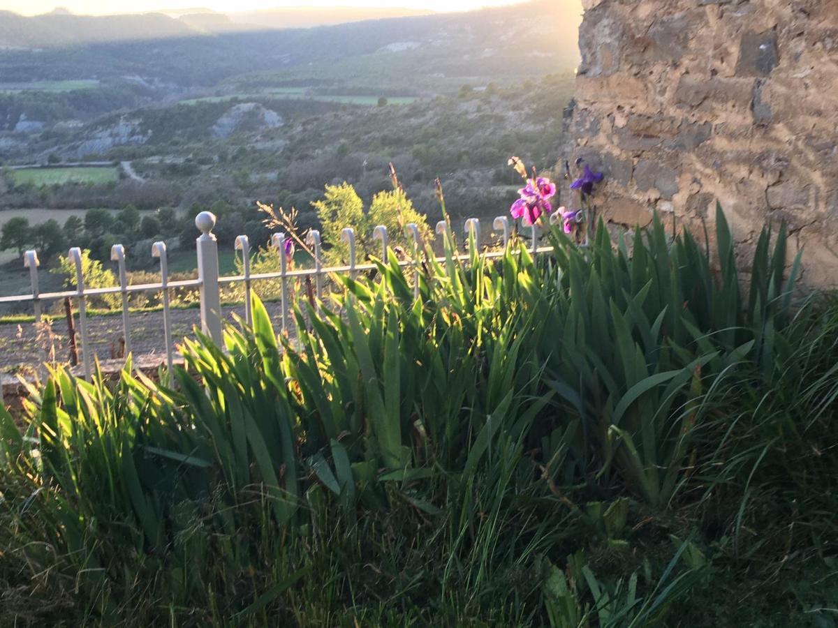 La Abadia Guest House Coscojuela de Sobrarbe Екстериор снимка
