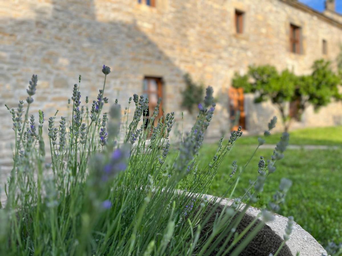 La Abadia Guest House Coscojuela de Sobrarbe Екстериор снимка