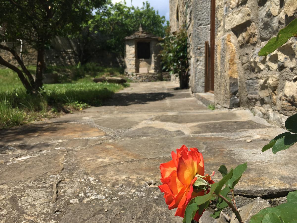 La Abadia Guest House Coscojuela de Sobrarbe Екстериор снимка